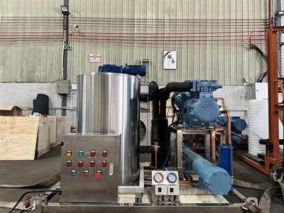 Systèmes de glace de suspension industrielle automatisé